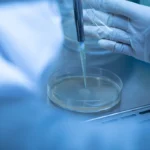 Cultivo y Antibiograma